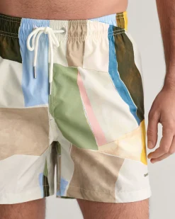 Art Print Swim Shorts