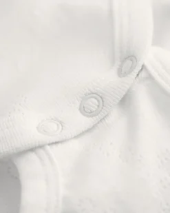 Baby Pointelle Jersey Bodysuit