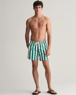 Block Striped Swim Shorts