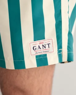 Block Striped Swim Shorts