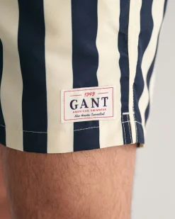 Block Striped Swim Shorts