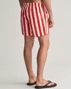 Block Striped Swim Shorts