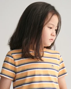 Kids Shield Striped T-Shirt
