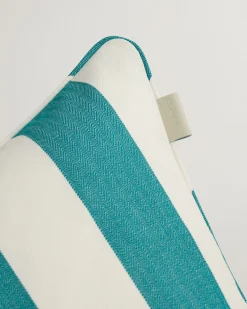 Striped Archive Shield Cushion